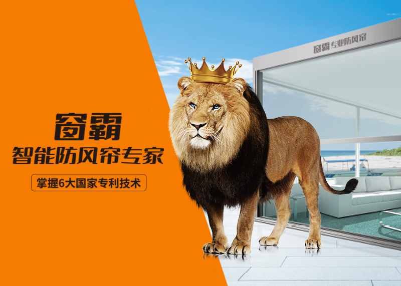 窗霸品牌全案年度服務