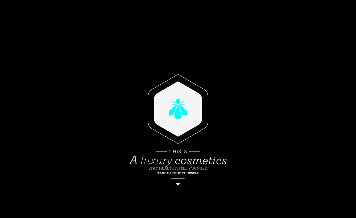 BEEloved honey蜂蜜創意包裝設計網站設計