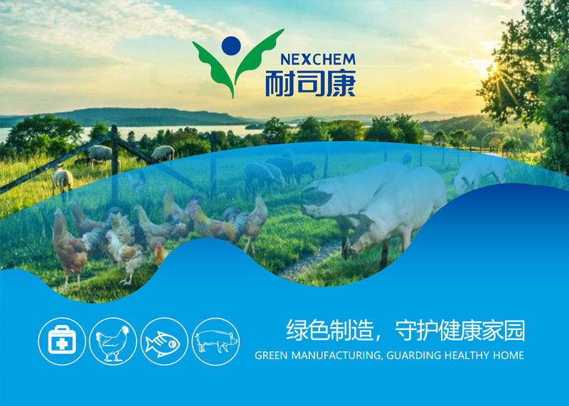 腸用耐司康，禽畜更健康！獸藥品牌全案策劃設計